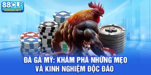 Đá Gà Mỹ - Khám Phá Những Mẹo Và Kinh Nghiệm Độc Đáo