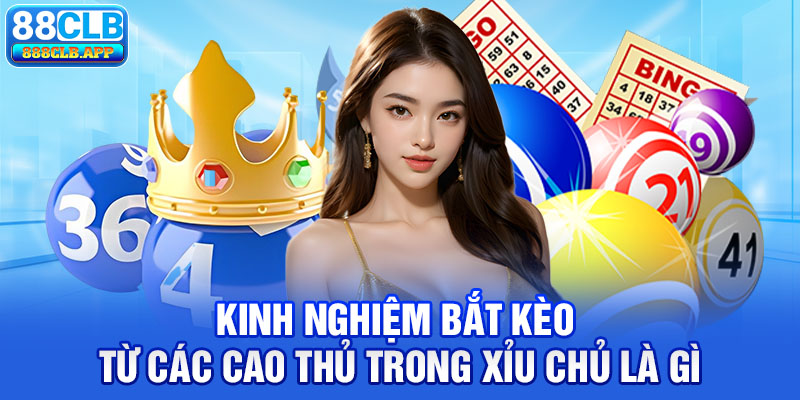 Kinh nghiệm bắt kèo từ các cao thủ trong xỉu chủ là gì